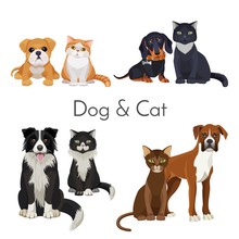 Dog And Cat Promotional Poster With Grown Animal And Babies