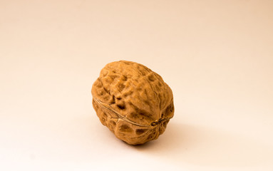 Closed walnut white background