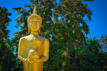 The Gold Statue of Buddha 