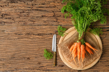 Fresh organic carrots with green leaves on old wood