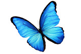 160_f_189350447_tjj8gzuhfzsogutjfjl0u172vdjeyxuh
