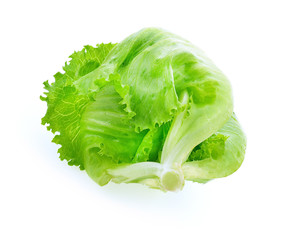 Canvas Print - Green Iceberg lettuce on White Background