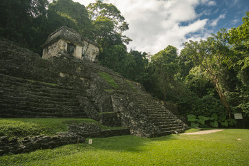 Wall Mural - mayan ruins of palenque