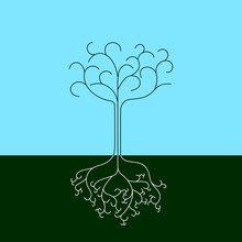 Line Drawing Of A Tree With Curvy Branches And Roots, Vector Illustration.
