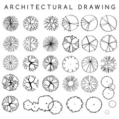 Set of Architectural Hand Drawn Trees : Vector Illustration