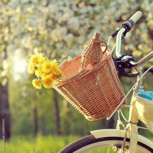Zdjęcie XXL wycieczka rowerowa na wiosenny piknik / wiklinowy kosz rowerowy z kwiatami i butelką napoju na tle kwitnących jabłoni