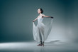 © LIGHTFIELD STUDIOS - elegant ballerina standing in white dress
