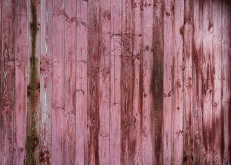 Wall Mural - old wooden fence in pink color