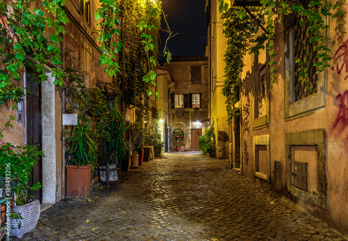Night view of old cozy street in Trastevere in Rome, Italy © Ekaterina Belova