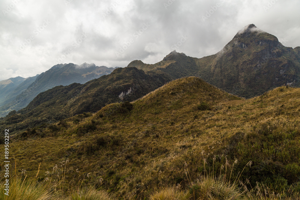 Cloud Forest and Andean Paramo Foothills of the Ecuadorian Eastern Cordillera