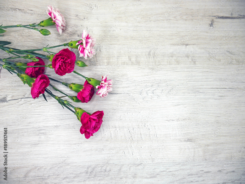Flowers carnations on a beautiful wooden background - obrazy, fototapety, plakaty 