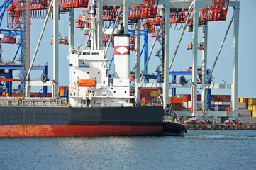 Bulk cargo ship under port crane