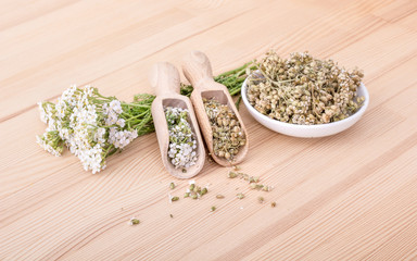 yarrow tea / bowl and two spoons of fresh and dried flowers and leaves of yarrow with a wooden background 