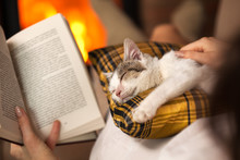 Woman Reading By The Fire And Comforting Her Rescue Kitten