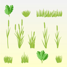 Green Grass Set Vector
