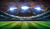 Fototapeta Sport - stadium in lights and flashes 3d.