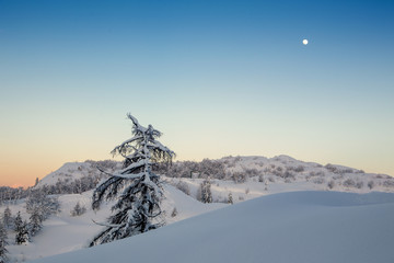 Wall Mural - Minimal winter landscape in Slovenia-Europe