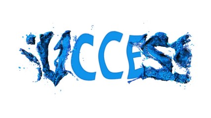 Wall Mural - success. vivid animation of words on an isolated background