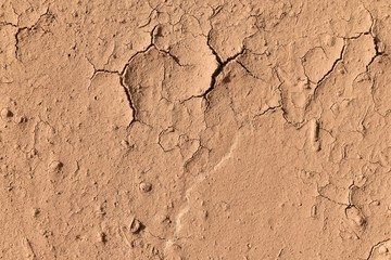 Wall Mural - surface broken brown soil for background