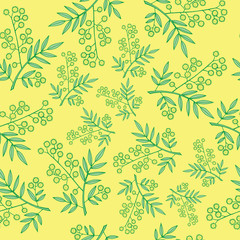 Wall Mural - Mimosa branches seamless pattern. Cartoon and doodle styled back