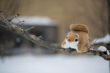 Ezo Momonga Hokkaido Siberian Flying  Squirrel Doll On Tree