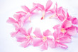 © Balaji - Pink Flower Decoration