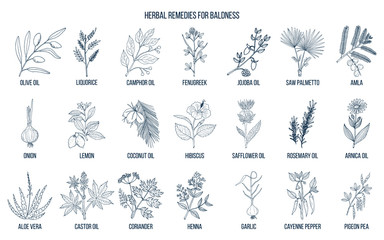 Wall Mural - Best herbal remedies for baldness