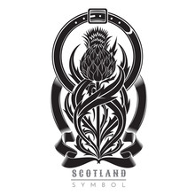 Silhouette Of Thistle With Leaf Pattern And Belt Frame. Symbol Of Scotland Design Element Black On White