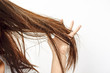 Combing with brush and pulls long hair. Daily preparation for looking nice, Long Disheveled Hair,Holding Messy Unbrushed Dry Hair In Hands. Hair Damage, Health And Beauty Concept.