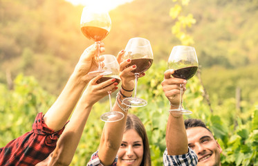 Wall Mural - Friends hands toasting red wine glass and having fun cheering at winetasting experience - Young people enjoying harvest time together at farmhouse vineyard countryside - Youth and friendship concept