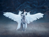 Fototapeta Pokój dzieciecy - Beautiful, young elf, walking with a unicorn. She is wearing an incredible light, white dress. Art hotography