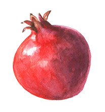 Hand Drawn Watercolor Red Pomegranate , Food Art Isolated On White Background.