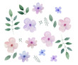 Hand drawn collection of plants, branches, leaves and flowers isolated on white background. Watercolor spring colorful illustration. Set of different floral elements.