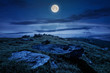 © Pellinni - rocky formation on grassy hillside. beautiful scenery of Runa mountain in summertime at night in full moon light. location Carpathian mountains, Ukraine