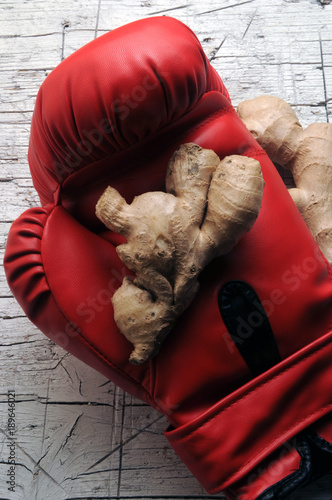 Zingiber officinale Πιπερόριζα Zenzero Jengibre Ingwer Ginger Ingefära Kion Imbi Poster Mural XXL