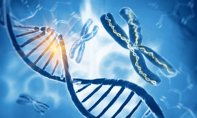 Wall Mural - dna double helix molecules and chromosomes