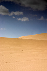  Fuerteventura Desert