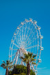 Ferris wheel, Malaga city, Spain