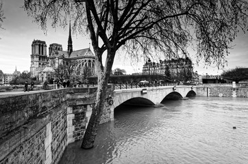 Canvas Print - Crue de la Seine et Île saint Louis