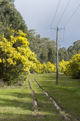 Wall Mural - View of Australia countryside