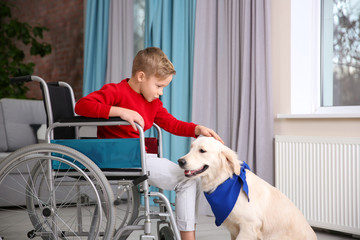 Canvas Print - Boy in wheelchair with service dog indoors