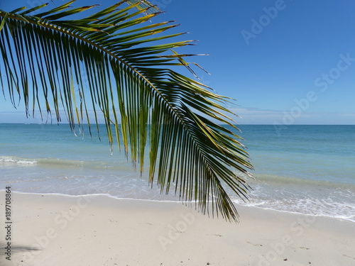 Plage De Rêve Costa Rica Buy This Stock Photo And