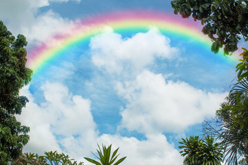 Wall Mural - Rainbow in Blue sky