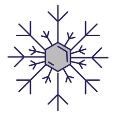 Canvas Print - snowflake weather isolated icon