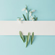 Leinwandbild Motiv Creative layout made with snowdrop flowers on bright blue  background. Flat lay. Spring minimal concept.
