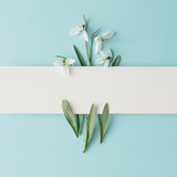 Fototapeta Kwiaty - Creative layout made with snowdrop flowers on bright blue  background. Flat lay. Spring minimal concept.
