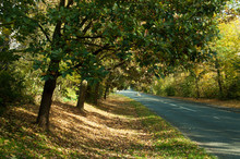 Country Road In English Countryside In The Autumn.