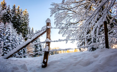 Wall Mural - wintertime