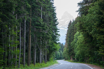 Wall Mural - Road to the mountains. Dombay.