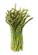 asparagus on a white background.